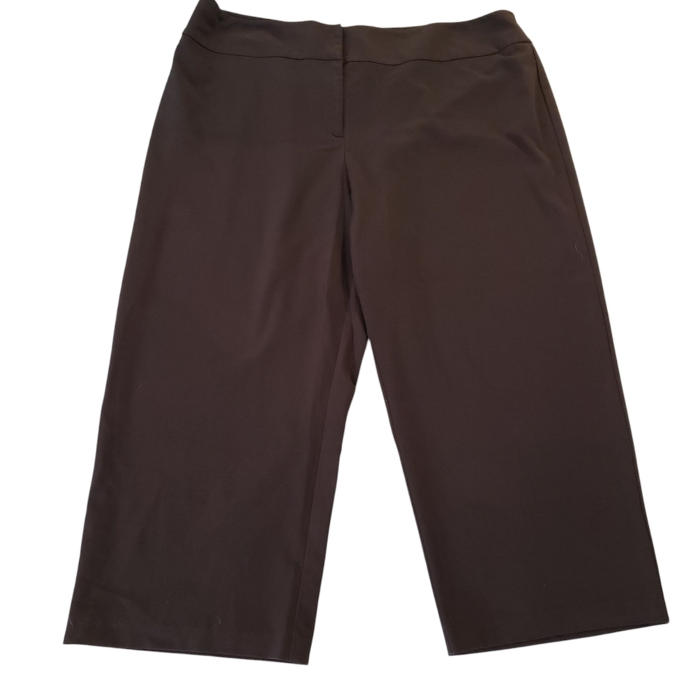 Brown Dressy Sag Harbor Stretch Capris